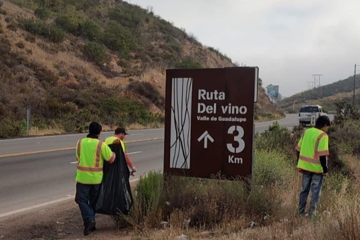 Vinícolas y jóvenes unen esfuerzos para mantener limpio el Valle de Guadalupe