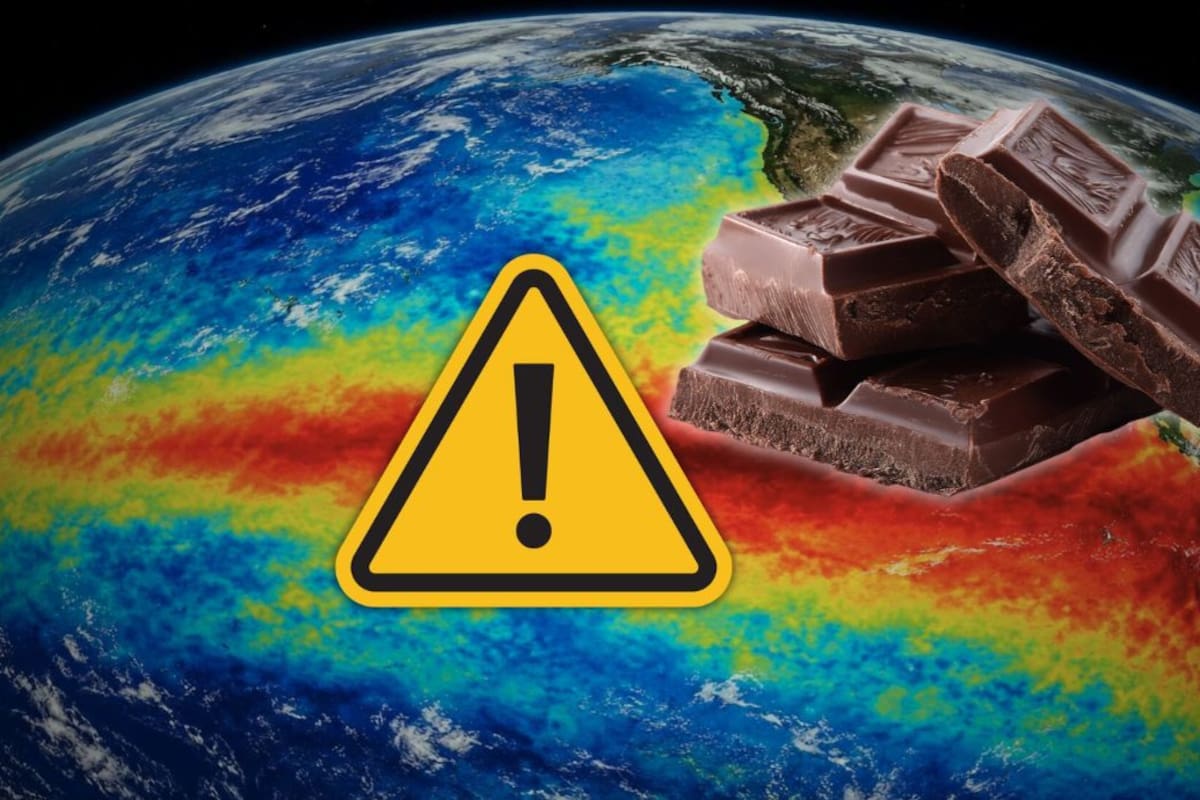 El fenómeno de El Niño reduce las cosechas de cacao y elevará un 11% el gasto en chocolates en México durante las ventas de Día de Muertos, Navidad y el 14 de febrero