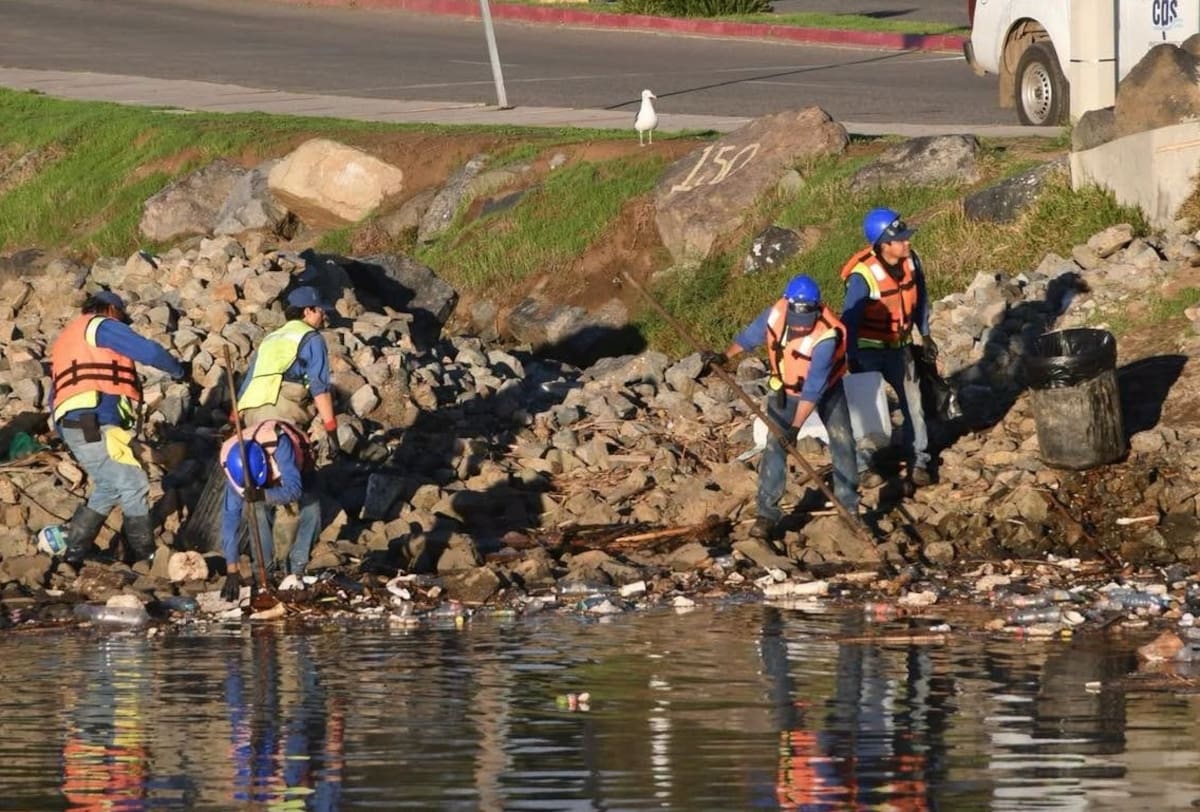 Las lluvias arrastraron residuos hasta la desembocadura del arroyo Ensenada, donde fueron retiradas más de dos toneladas de basura. Foto: Cortesía