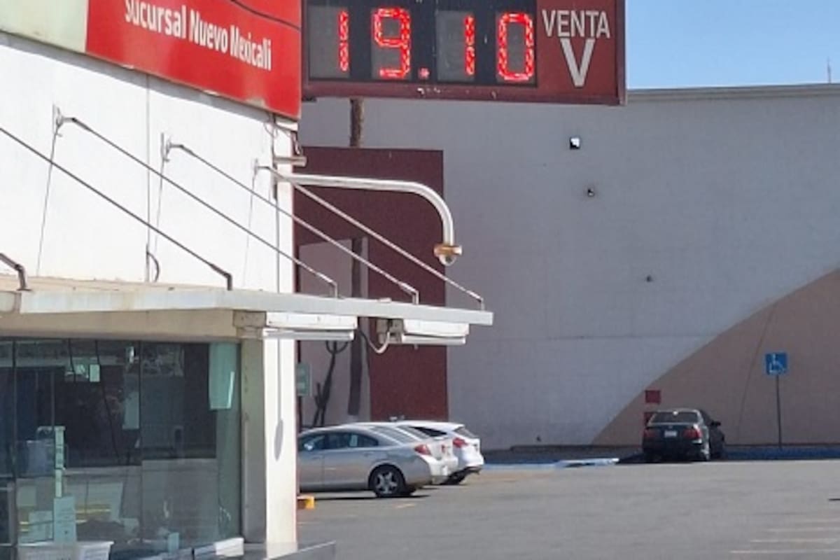 Dólar se mantiene estable este sábado en Mexicali: se vende hasta en 19.10 pesos