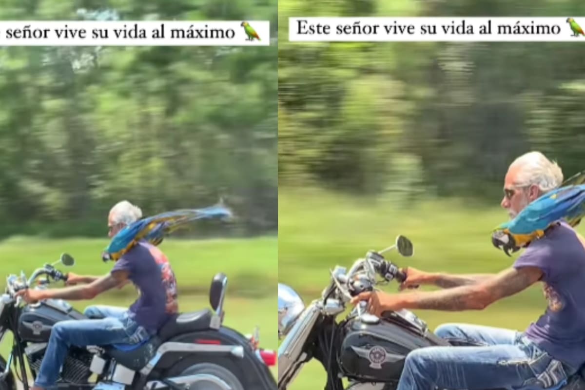 Un adulto mayor acapara la atención en el tráfico al ir a toda velocidad en una motocicleta, con su loro en el hombro