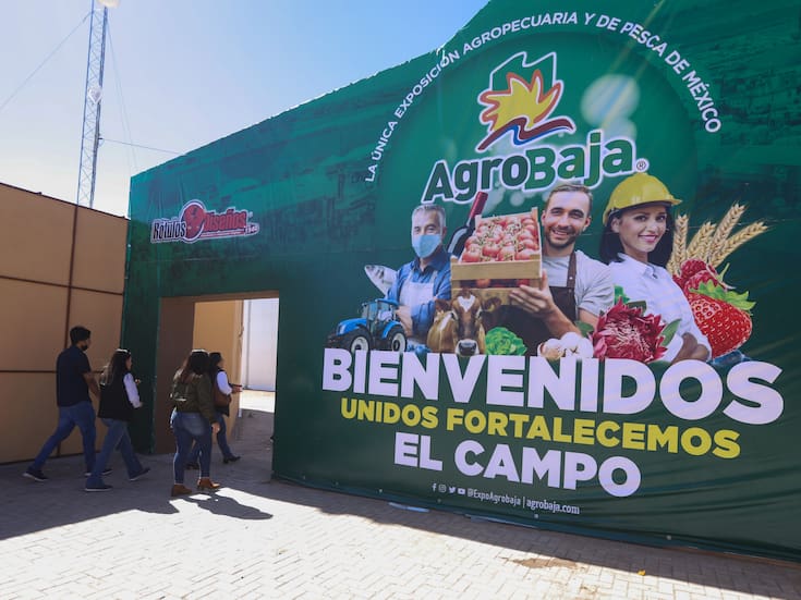 Agrobaja ofrece transporte, promociones y facilidades hospedaje a visitantes