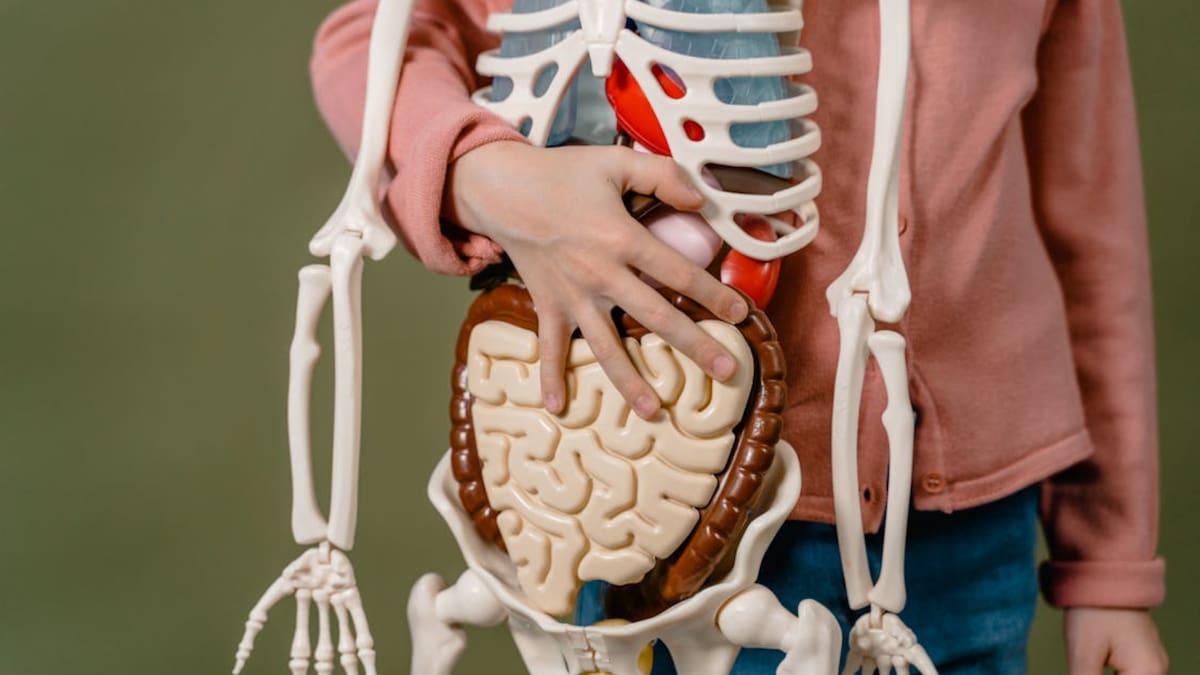 Cáncer de colon: estos son los síntomas que suelen ignorarse y la edad exacta a la que médicos recomiendan iniciar estudios preventivos para detectarlo a tiempo