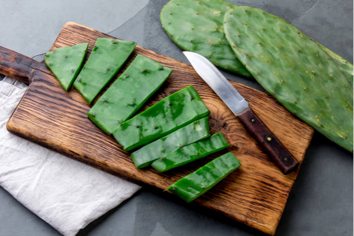Convierten espinas y recortes de nopal en fertilizante orgánico para recuperar suelos agrícolas