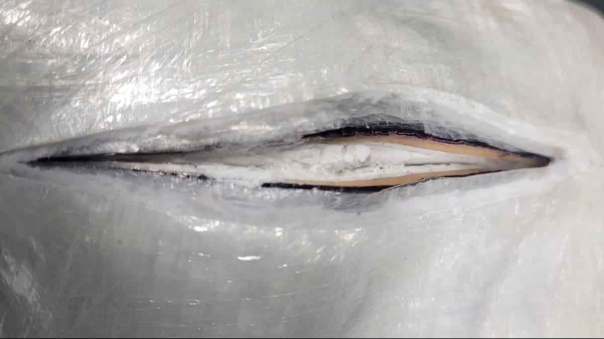 Interceptan cargamento con distintos narcóticos en garita de Nogales. | Cortesía