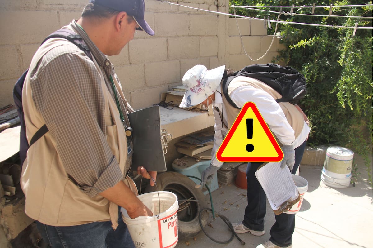 Falsos brigadistas visitan viviendas en Sonora e intentan cobrar por detectar criaderos de mosquitos; Salud pide no caer en el engaño y explica cómo identificarlos