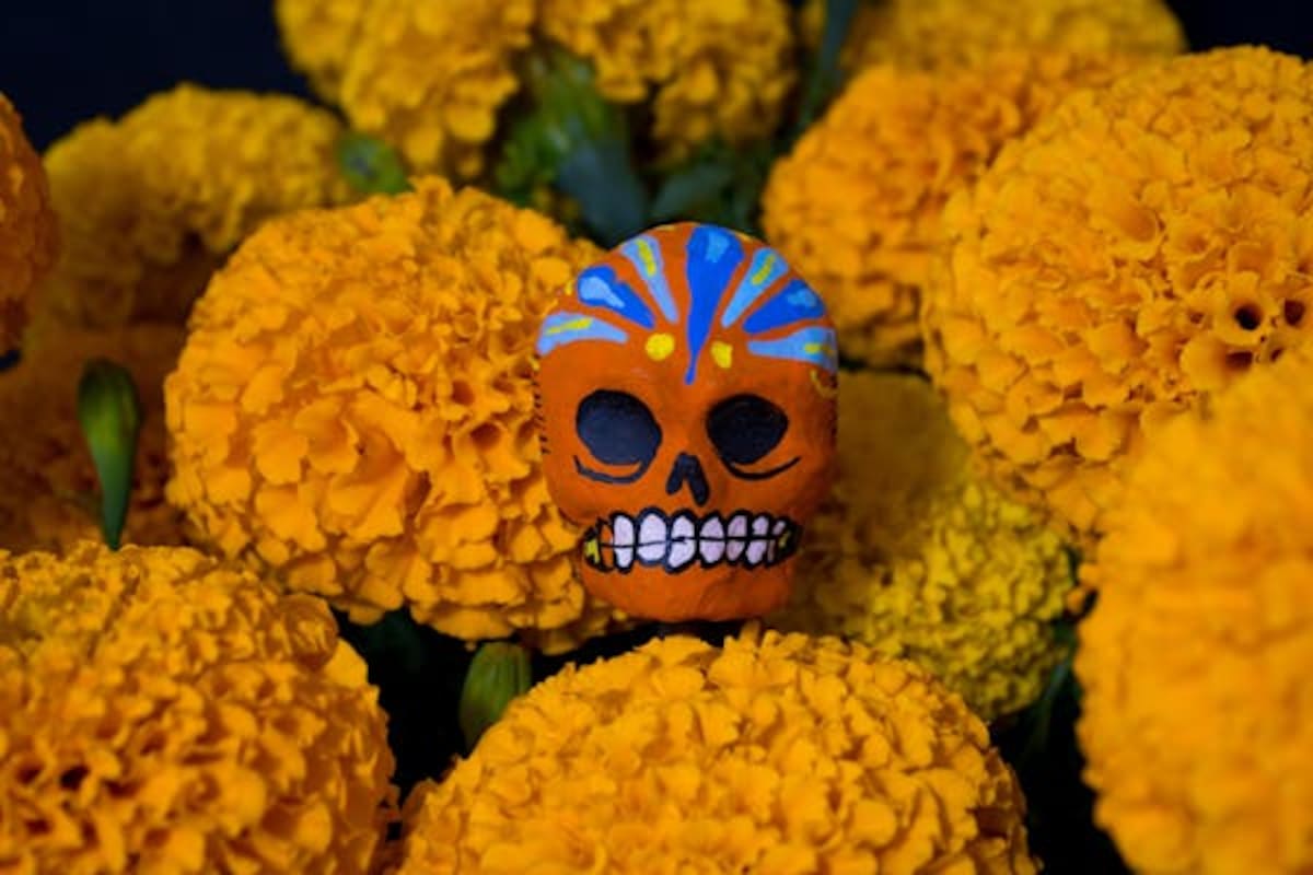 Día de Muertos: Puebla producirá 16 mil toneladas de cempasúchil en 2025, esperan derrama económica de 40 millones