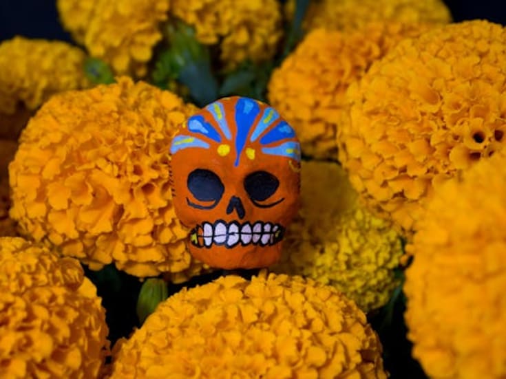 Día de Muertos: Puebla producirá 16 mil toneladas de cempasúchil en 2025, esperan derrama económica de 40 millones