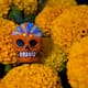 Día de Muertos: Puebla producirá 16 mil toneladas de cempasúchil en 2025, esperan derrama económica de 40 millones