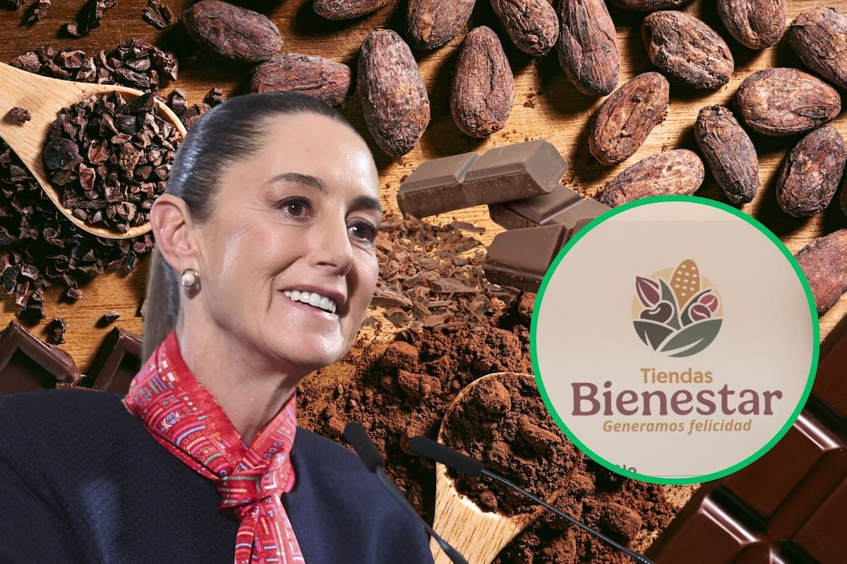 Gobierno de Claudia Sheinbaum lanzará a la venta Chocolates del Bienestar: ¿Cómo serán y cuál será su precio?