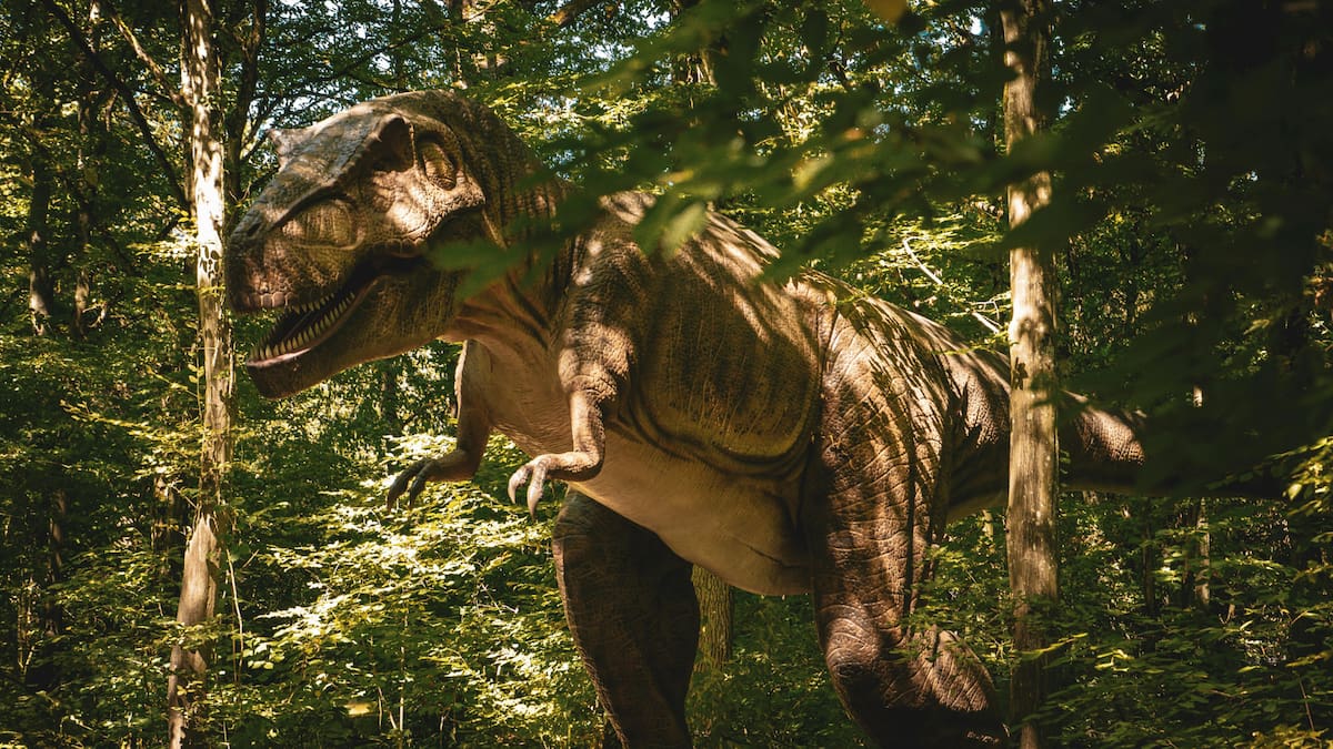 T. rex tenía una temperatura corporal similar a la humana: científicos la midieron con dientes fósiles