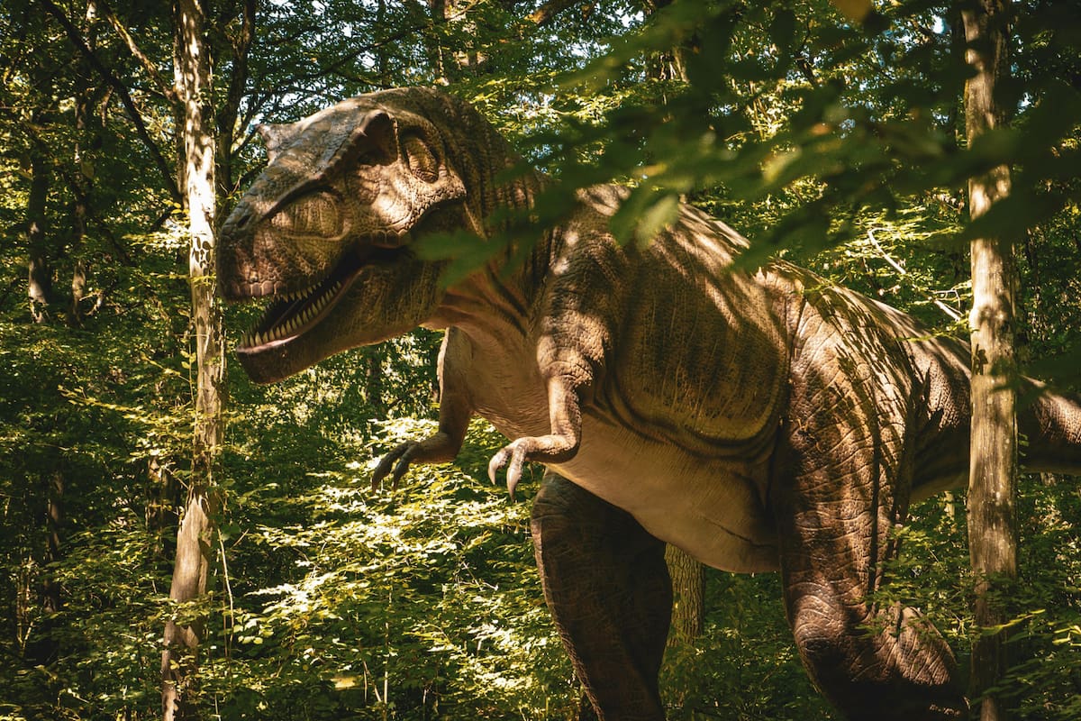 T. rex no estaba solo: un fósil enterrado durante 67 millones de años cambia lo que sabíamos