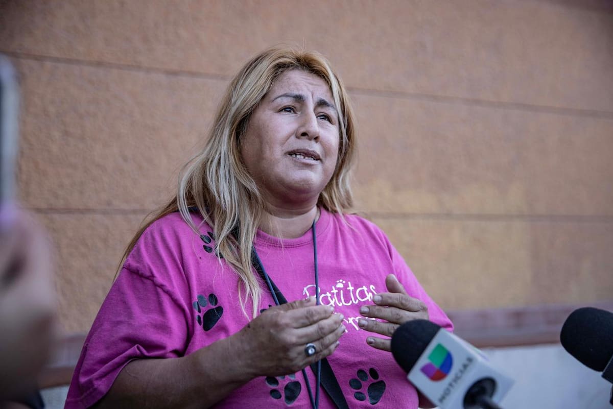 Que los casos de crueldad animal sean sancionados con mayor severidad y no queden impunes. Foto: Border Zoom