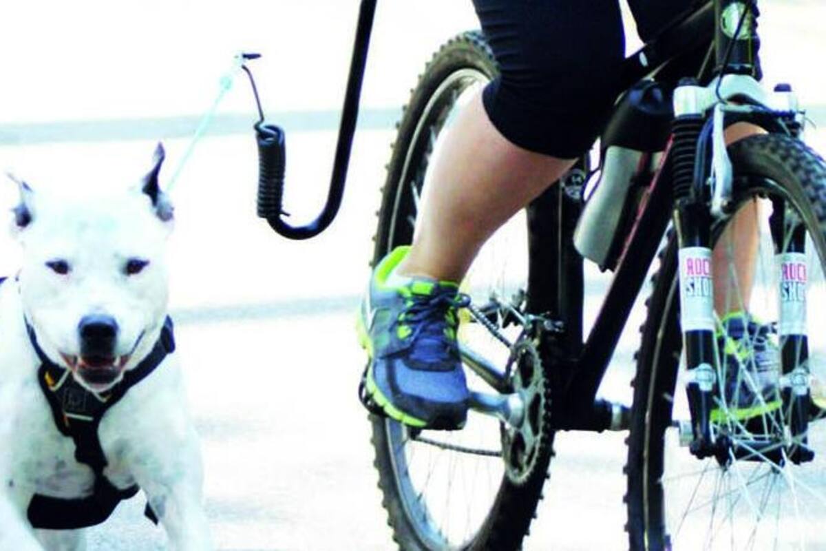 ¿Sabías que hoy es el Día Mundial de la Bicicleta?