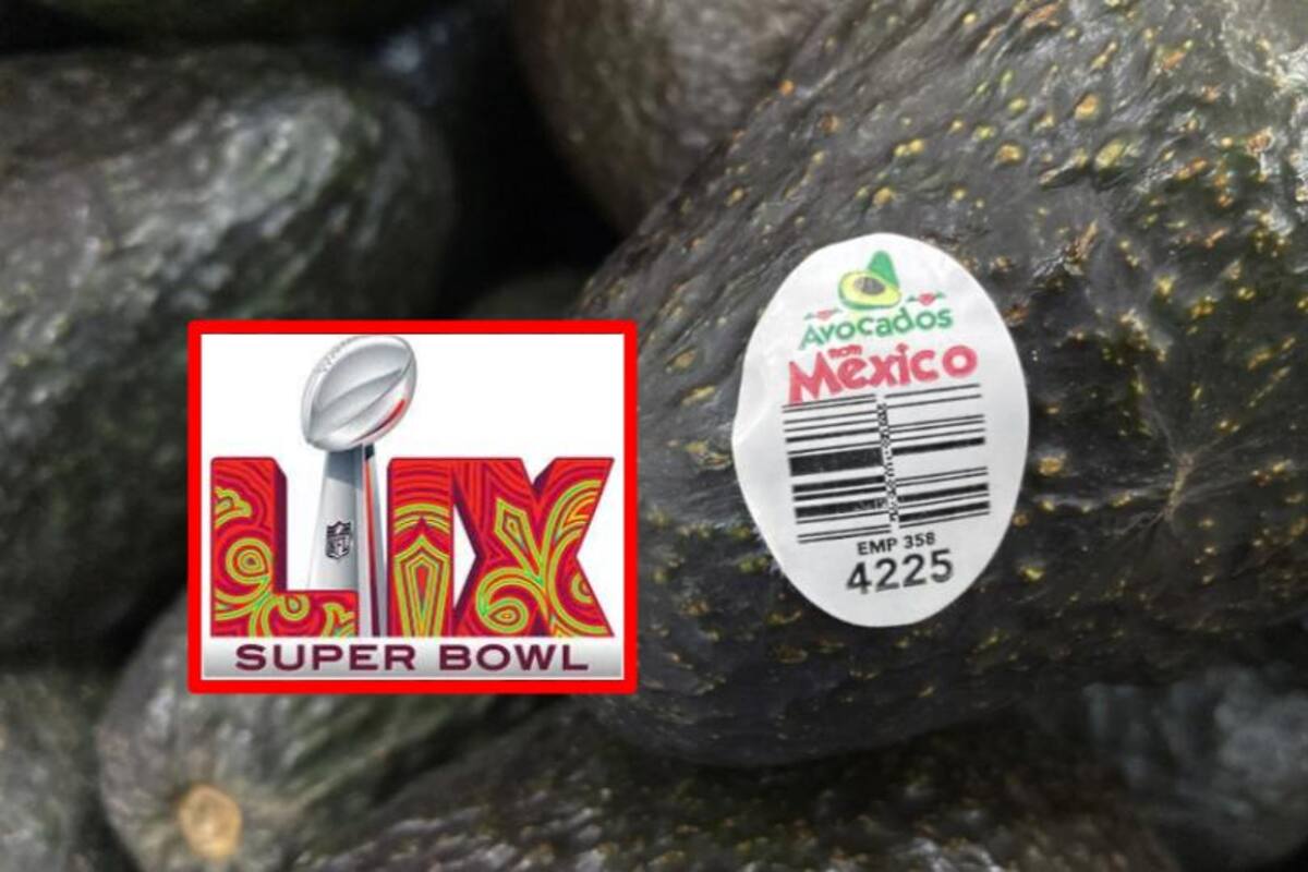 México exportará 110,000 toneladas de aguacate para el Super Bowl LIX