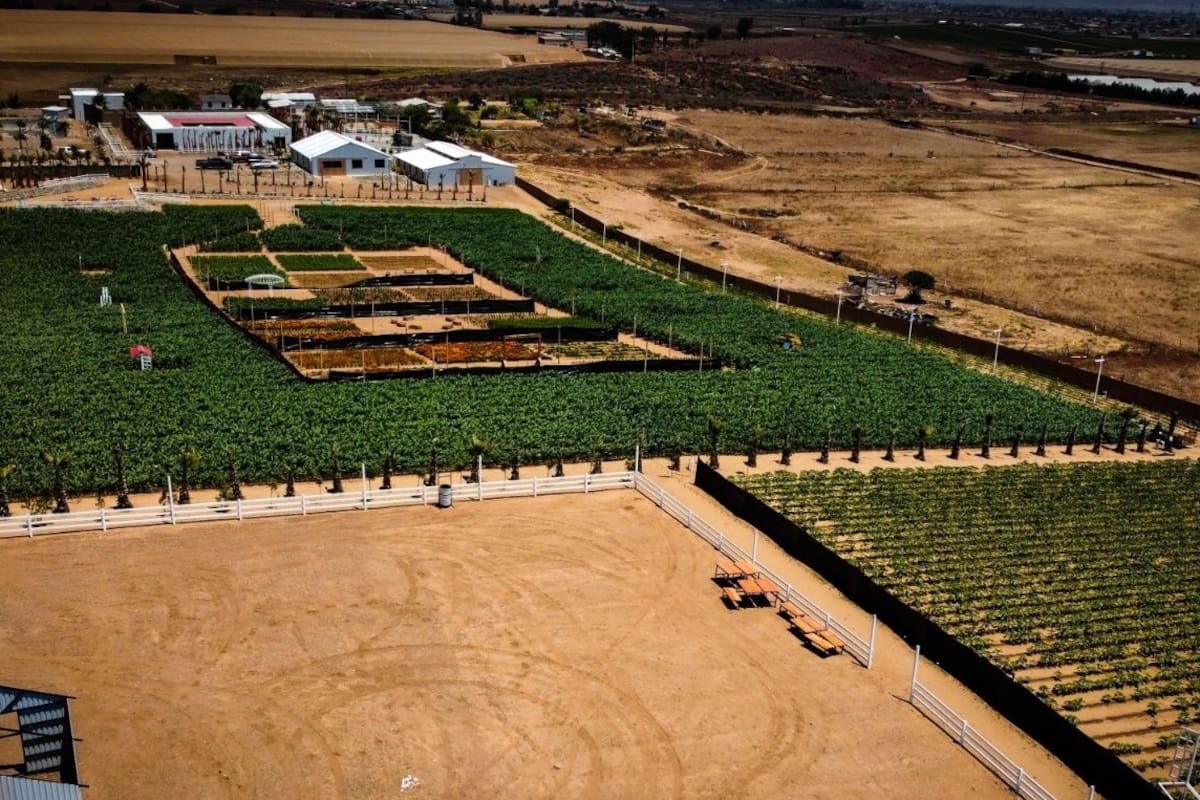 Impulsan ruta de agroturismo en San Quintín