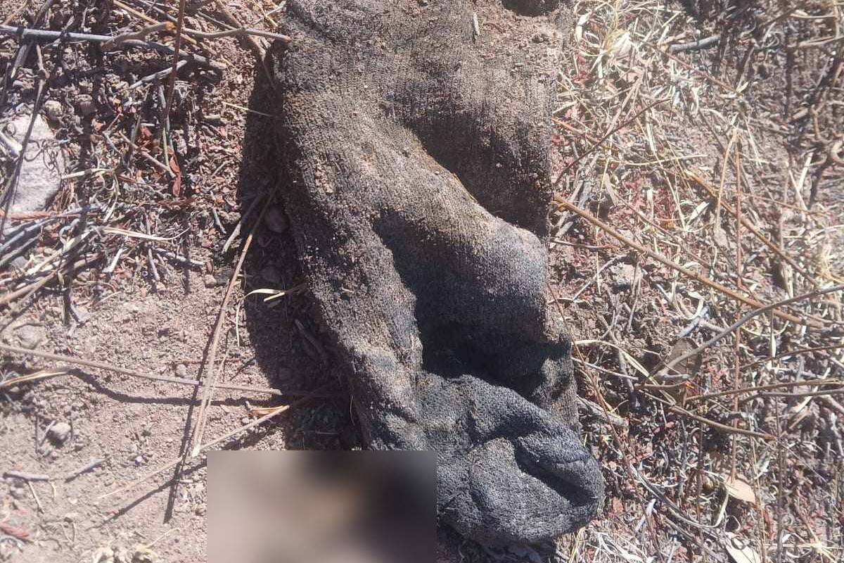 Encuentran restos humanos en La Comaya