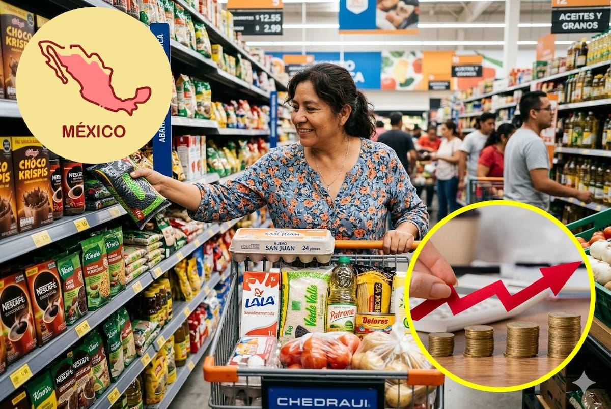 Anpec advierte que una persona requiere alrededor de 2,600 pesos mensuales para cubrir gastos de alimentación. | Foto: Gemini/Pngwing/Freepik
