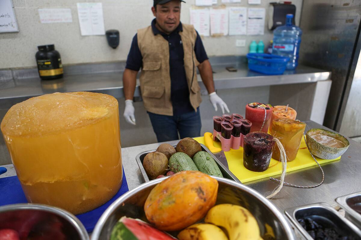 MEX5723. MÉRIDA (MÉXICO), 25/04/2024.- El biólogo Walter Rosado prepara fruta para elaborar paletas de hielo para los animales del Zoológico Centenario, el 24 de abril de 2024 en Mérida (México). Animales de zoológicos de Yucatán, en el sureste de México, reciben paletas de hielo para refrescarse y mitigar la intensa ola de calor que mantiene los termómetros de 36 a 40 grados en este lugar. EFE/ Lorenzo Hernández