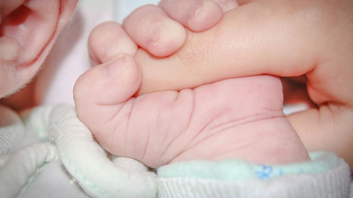 La SCJN modifica la ley en Yucatán para que los padres elijan libremente el orden y la composición de los apellidos de sus hijos tras invalidar restricciones del Registro Civil