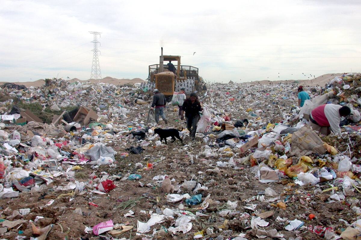 Recogen en Mexicali 800 toneladas de basura al día