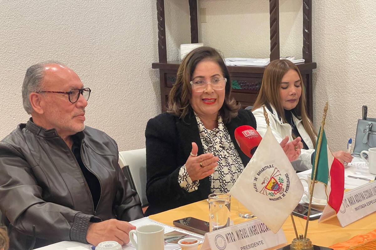 Poco que celebrar el 8 de marzo, Día de la Mujer: Ammje