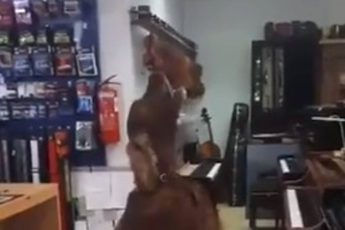 Perrita no ladra, prefiere cantar