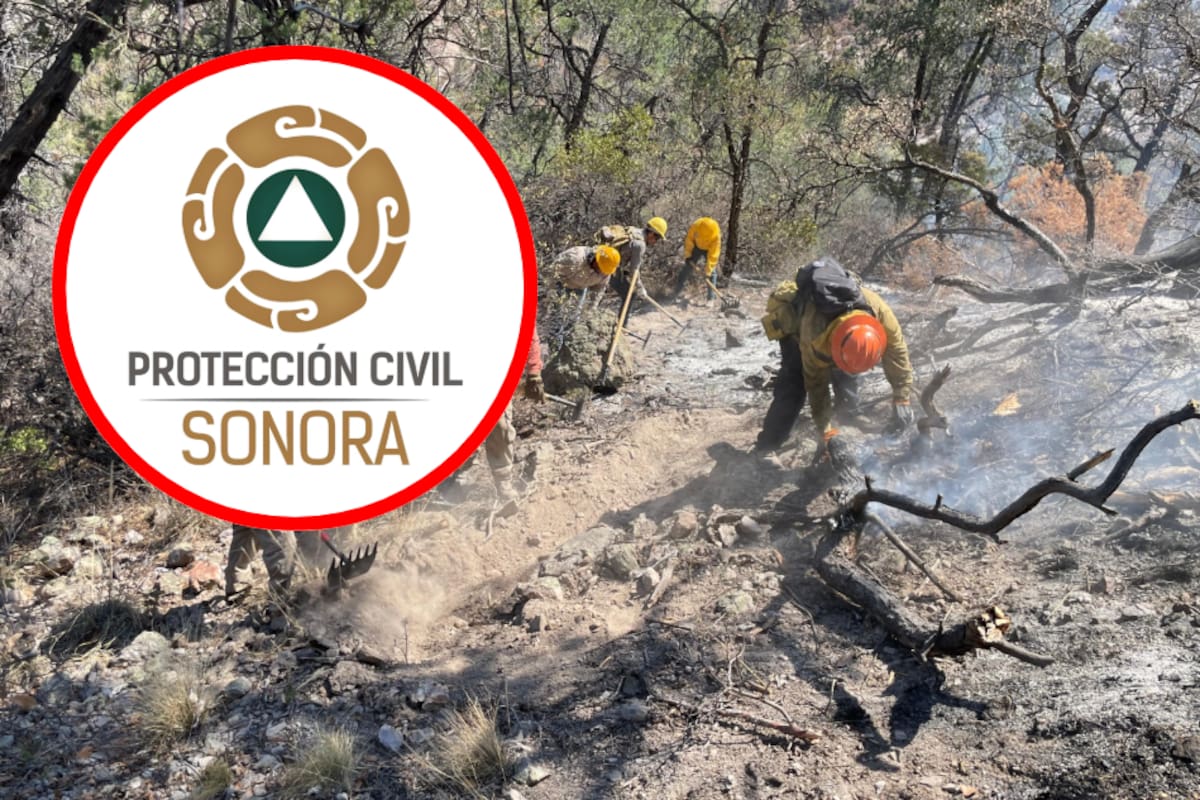 Incendio forestal arrasa con casi 200 hectáreas en Agua Prieta: Gobierno de Sonora reporta solo 20% de control