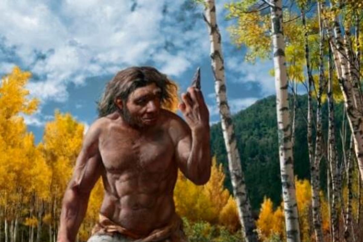 "Hombre Dragón": El cráneo de Harbin es una nueva especie humana, ¿la más cercana a nosotros?