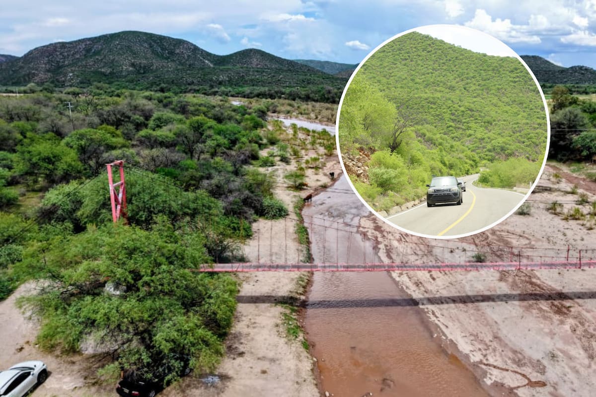 Lluvias reverdecen la ruta del Río Sonora: crece el cauce cerca de Ures y el ganado vuelve por agua y pasto
