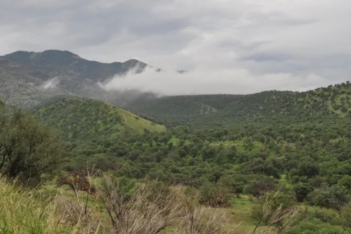 Pronostican lluvias y granizo para la Sierra Norte de Sonora