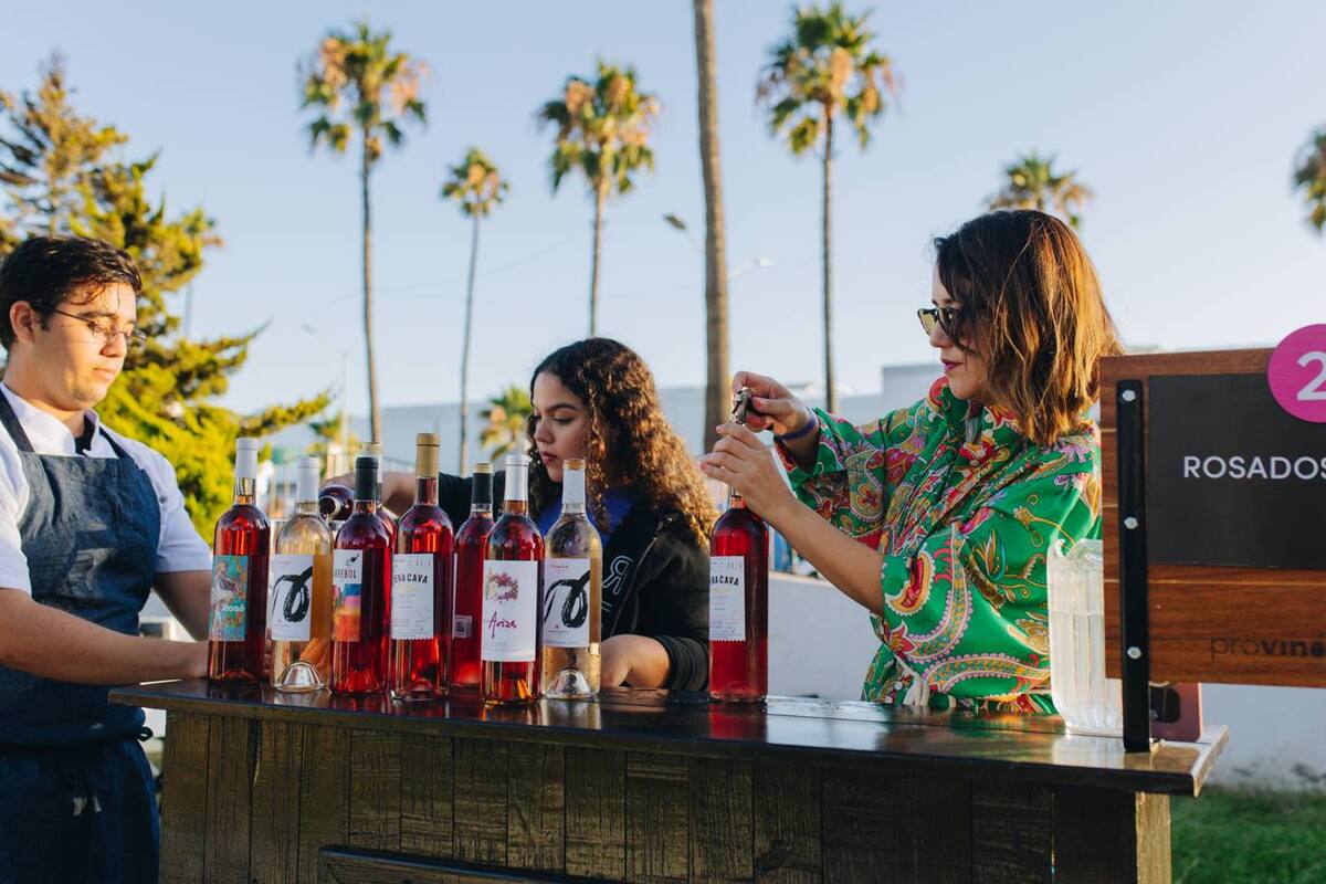 Fiestas de la Vendimia 2024: Alistan diversas actividades