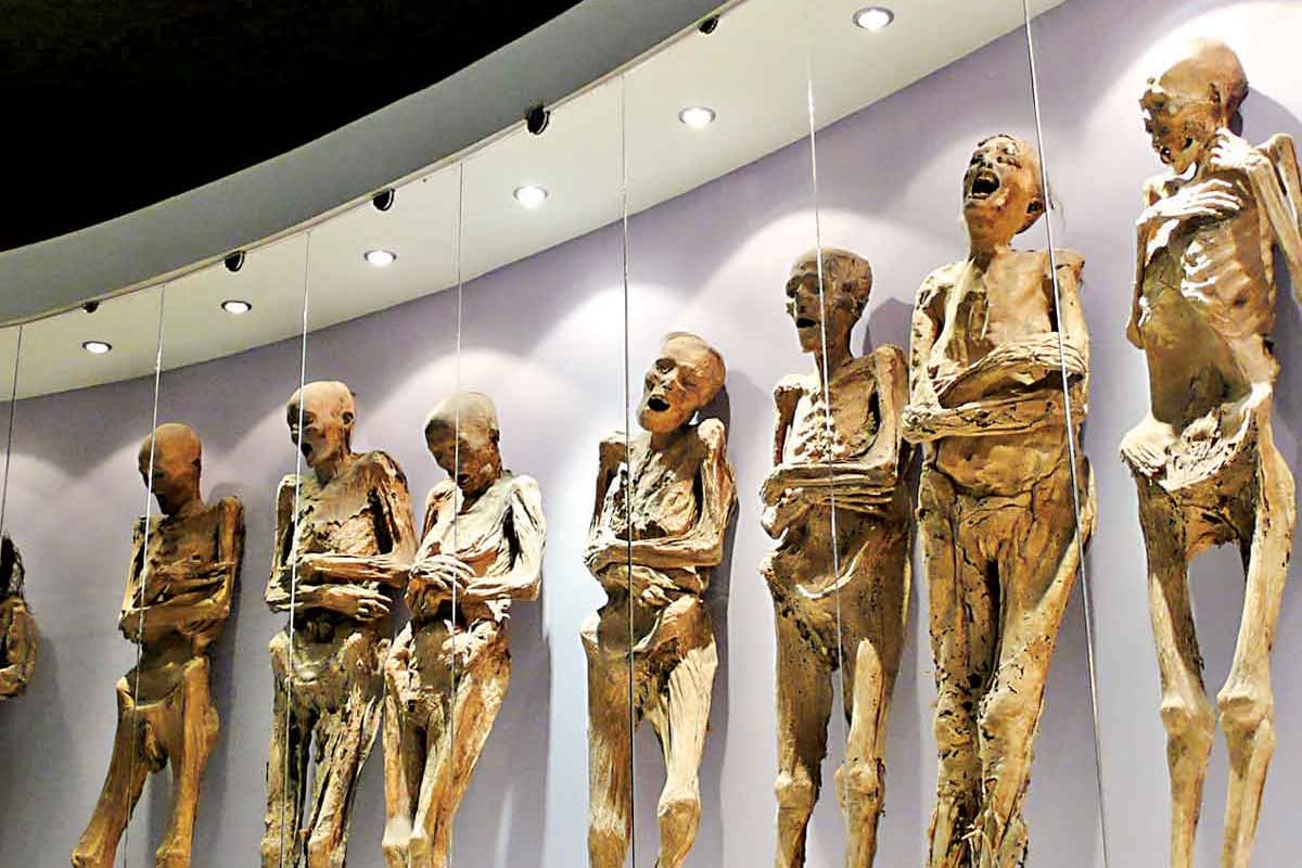 ¿Qué misterios ocultan las Momias de Guanajuato?