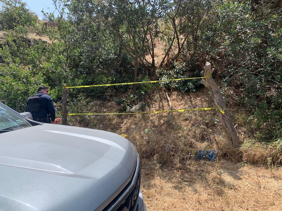 Un testigo observó a su vecino golpear al perrito mientras lo tenía amarrado a un árbol. Foto: Cortesía