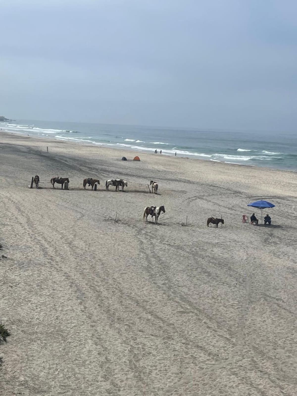Foto: Carmen Gutiérrez