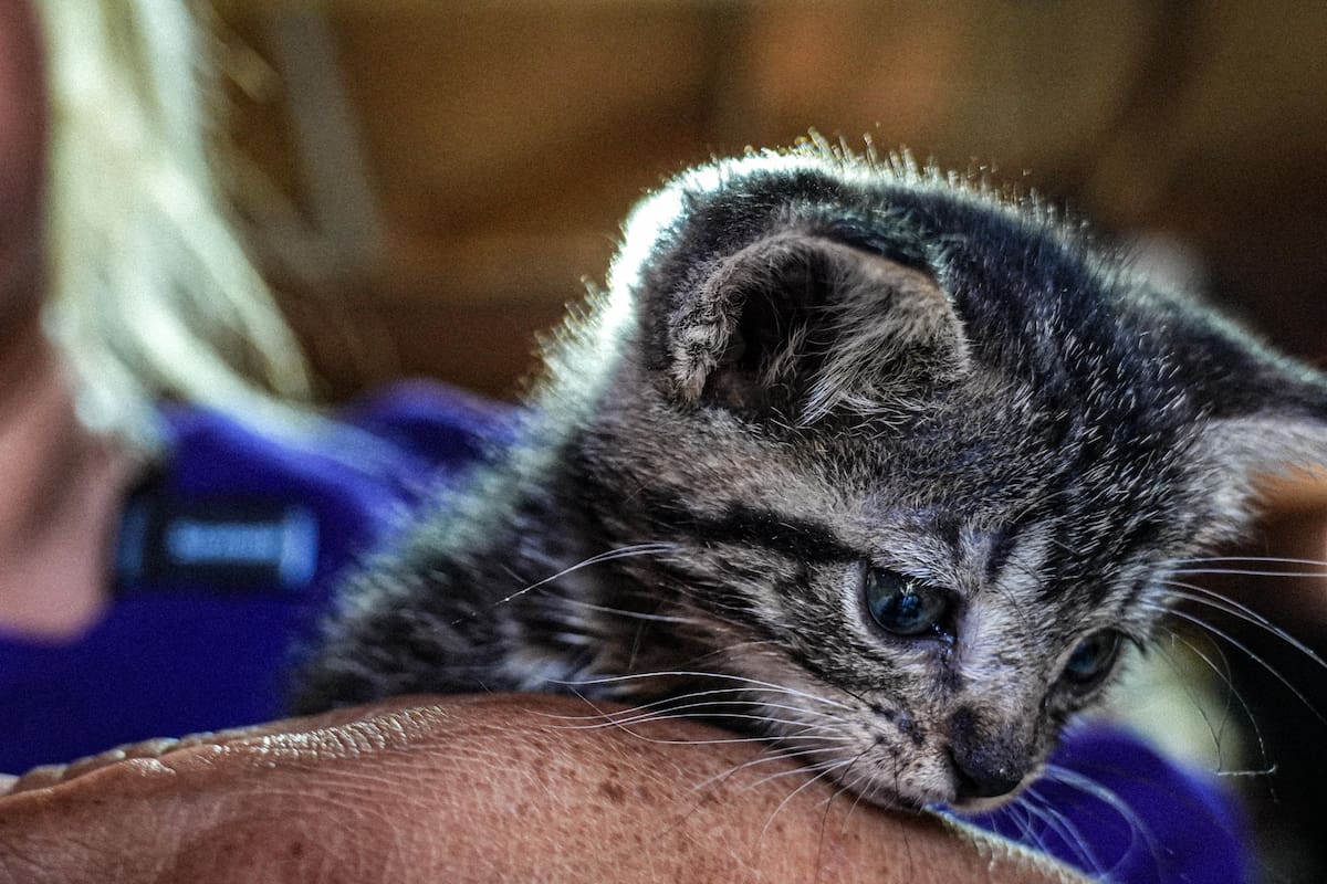Foto: Leonardo González