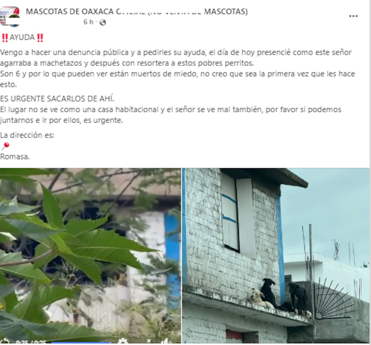 Capturas de pantalla del post original en Facebook.