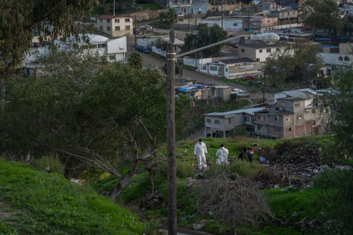 Elementos de la Fiscalía General del Estado localizaron los restos de una perrita presuntamente víctima de maltrato animal. Foto: Border Zoom