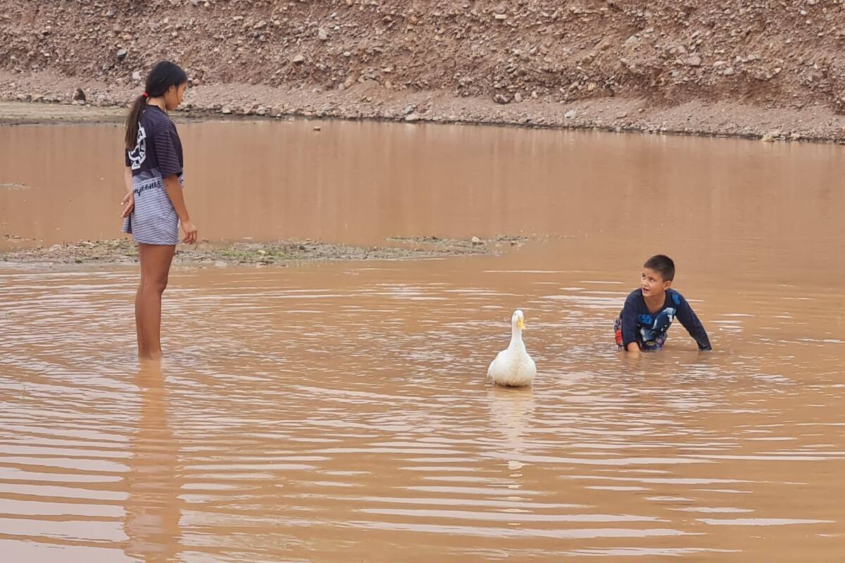 Nogales: Max y Monce forman un amistoso trío con su mascota “Palla”