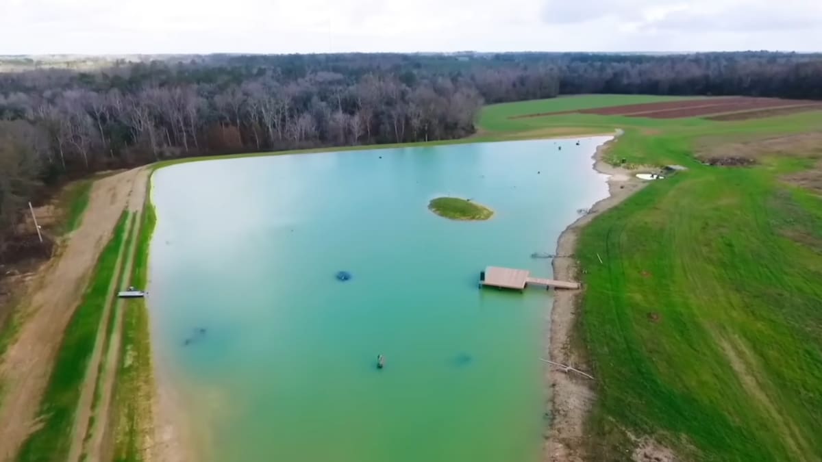 El proyecto pasó de ser una simple granja de peces a un observatorio ecológico. (Captura de pantalla)