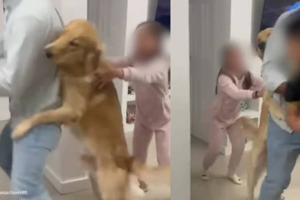 “Sacó los pasos prohibidos”: Perro se une al baile familiar y terminan protagonizando un momento viral