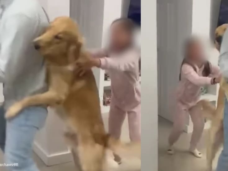 “Sacó los pasos prohibidos”: Perro se une al baile familiar y terminan protagonizando un momento viral