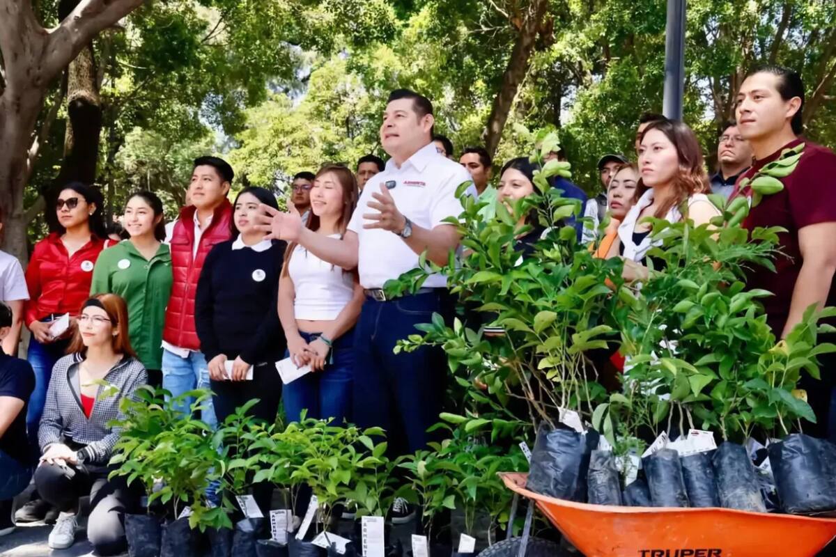 Puebla es el segundo estado con más ataques contra ambientalistas en México, según Cemda