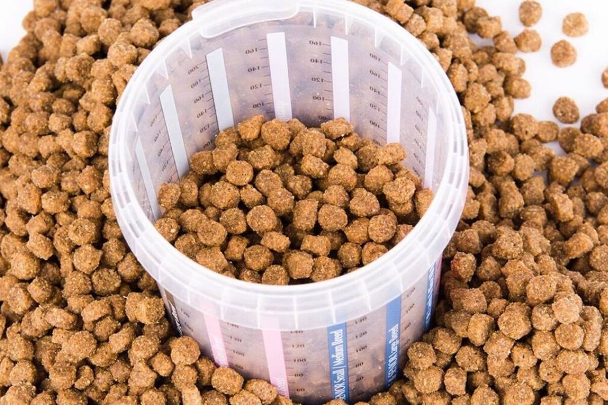 VIRAL:  Captan a joven comiendo comida para perro mientras entrenaba en gimnasio