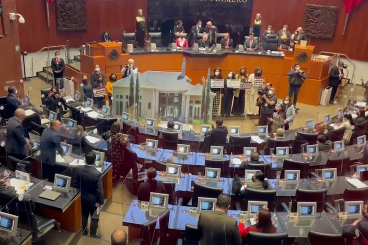 Senado rechaza investigación contra hijo de AMLO