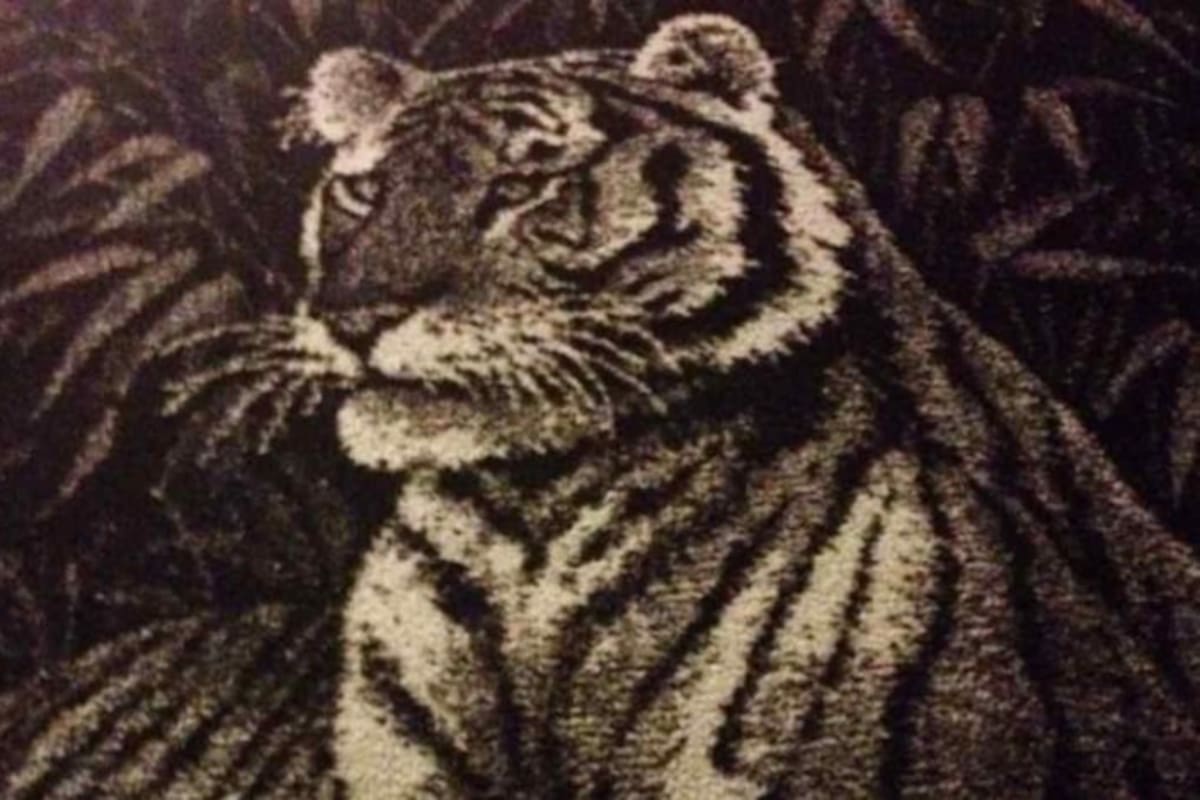 La triste historia detrás de las famosas cobijas San Marcos