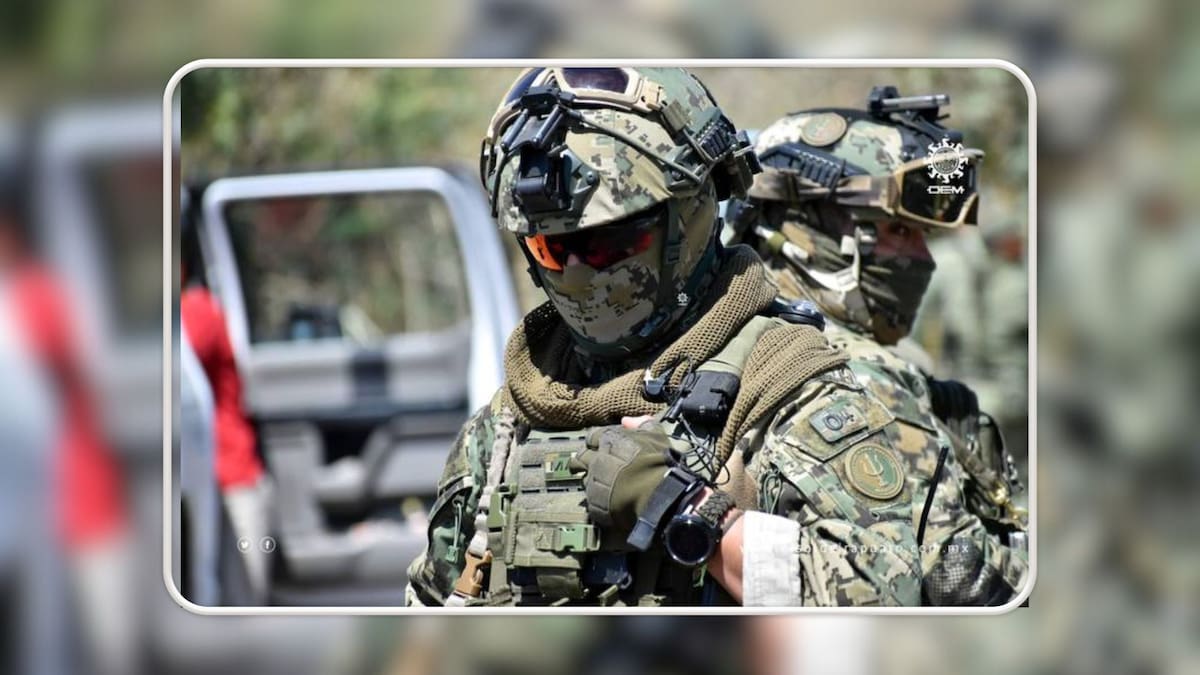 Ejército mexicano mató a un civil cada 44 horas en sexenio de AMLO, según Sedena