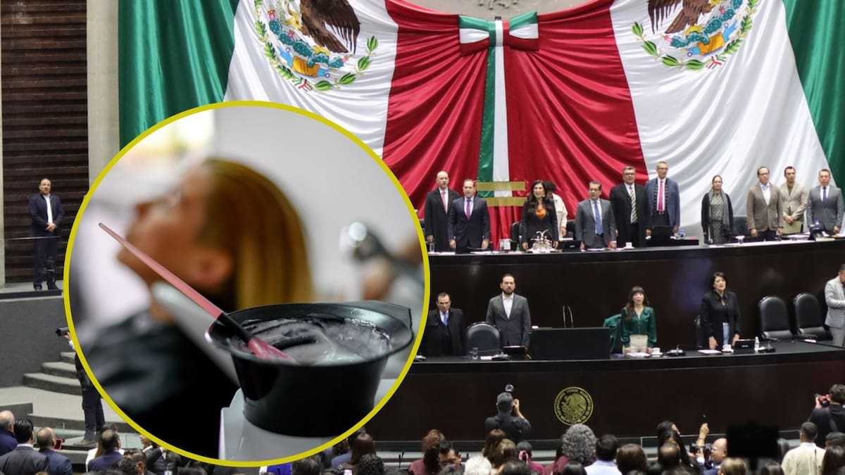 La Cámara de Diputados cuenta con dos salones de belleza en San Lázaro: no pagan renta y ofrecen precios accesibles, aseguró Mauricio Farah