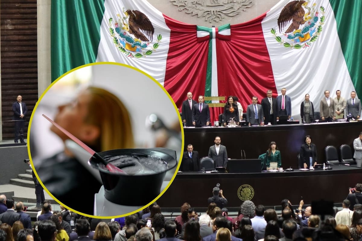 La Cámara de Diputados cuenta con dos salones de belleza en San Lázaro: no pagan renta y ofrecen precios accesibles, aseguró Mauricio Farah