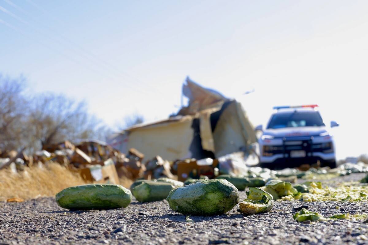 Uno de los tráileres transportaba varias toneladas de calabaza italiana, las cuales quedaron esparcidas en la carretera. Foto: Julio A. Clark